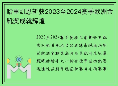 哈里凯恩斩获2023至2024赛季欧洲金靴奖成就辉煌 哈里凯恩斩获2023至2024赛季欧洲金靴奖成就辉煌